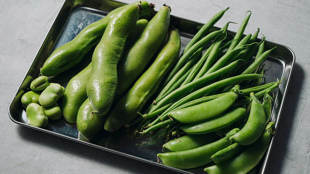 スプリングラム