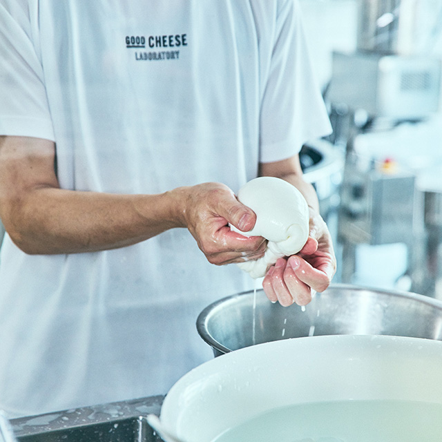 GOOD CHEESE LABORATORY