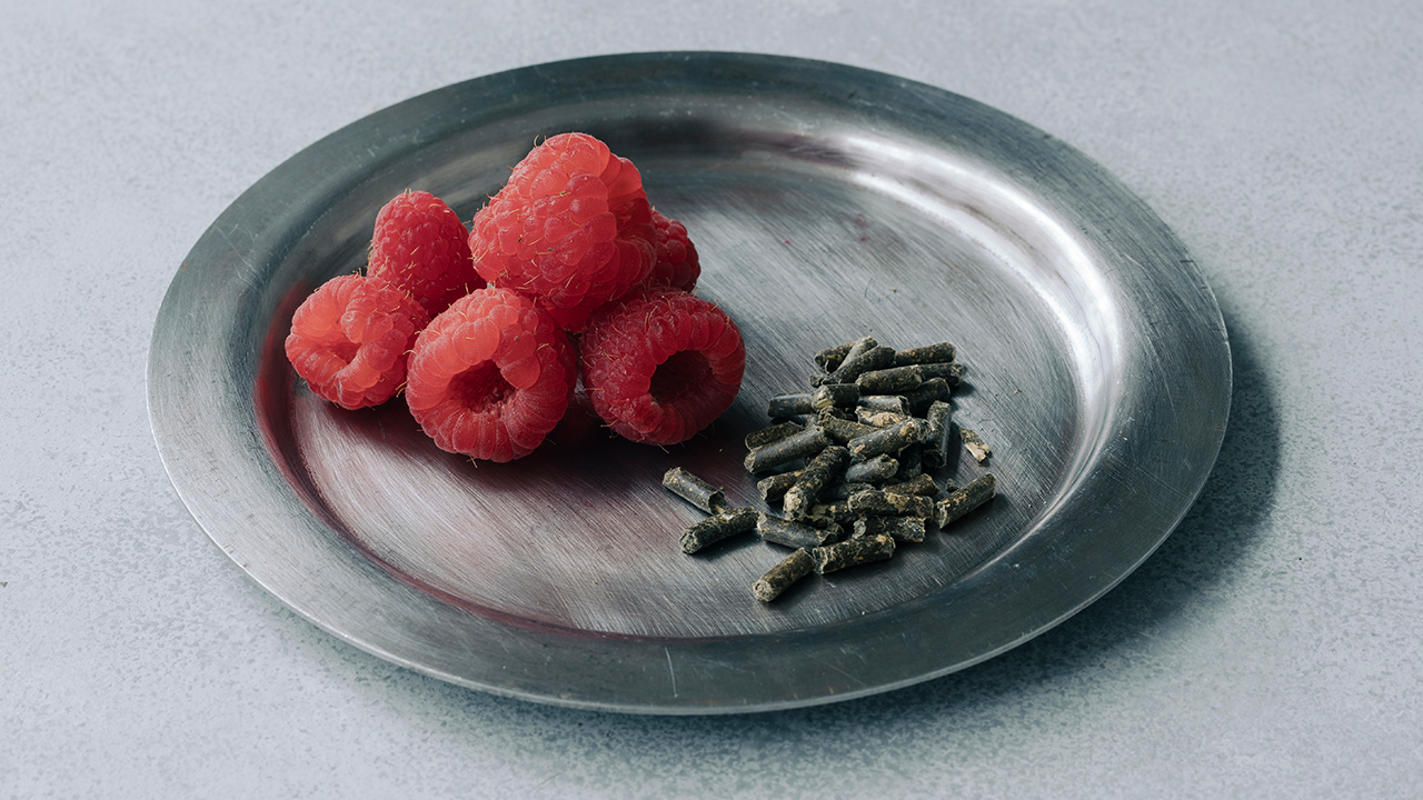 ピスタチオラズベリーティー