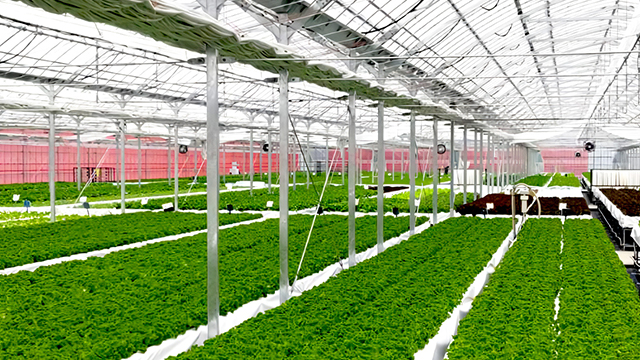 はだのふぁーむ