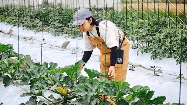itahana farm（イタハナファーム）