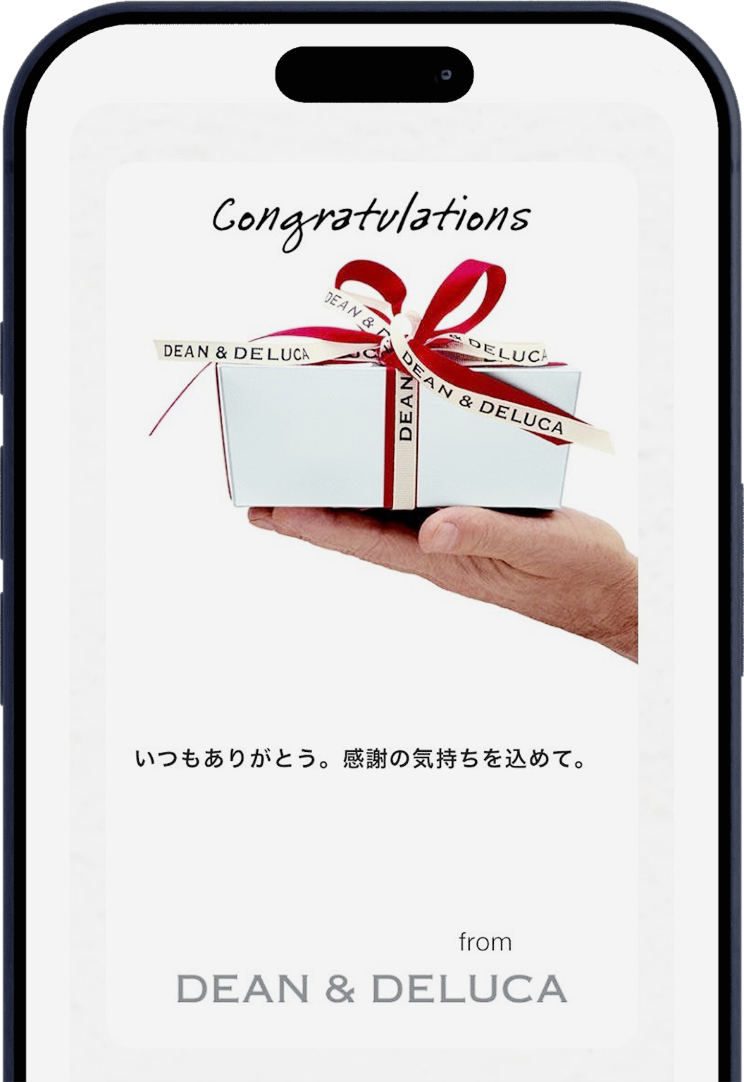 プラスチックカードタイプ