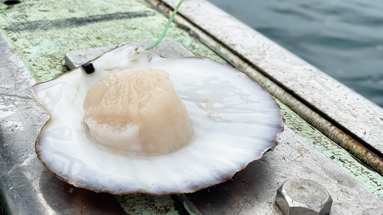 炊き込みご飯の素のおいしさのモト 志津川湾の漁、豊かな恵み０３