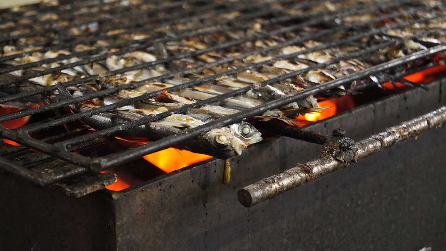 長崎のハレの出汁「焼きあご」