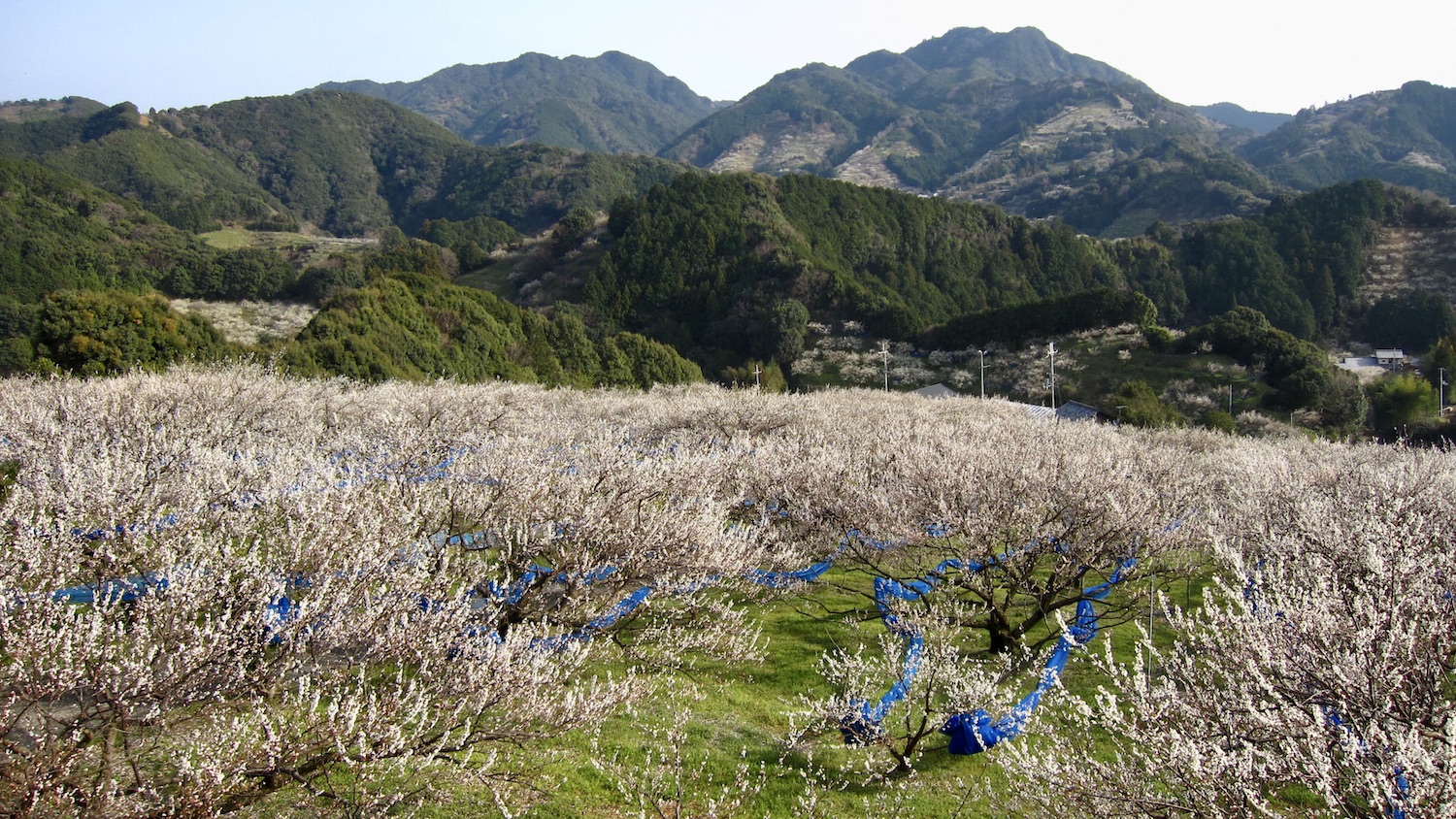 清らかな自然に囲まれた場所にある農園