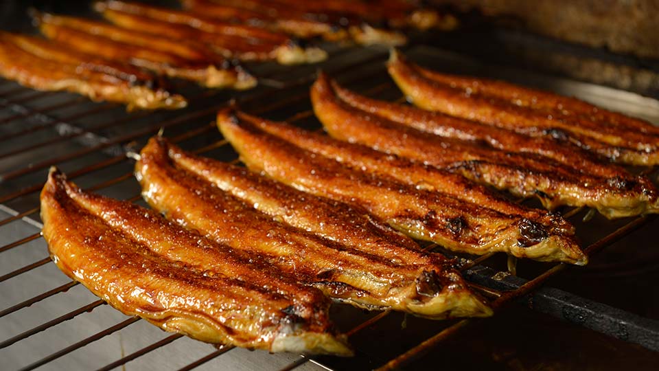 「う」のつくもので夏の食養生