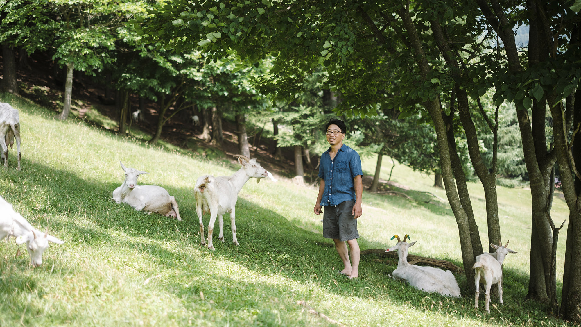 山田農場チーズ工房