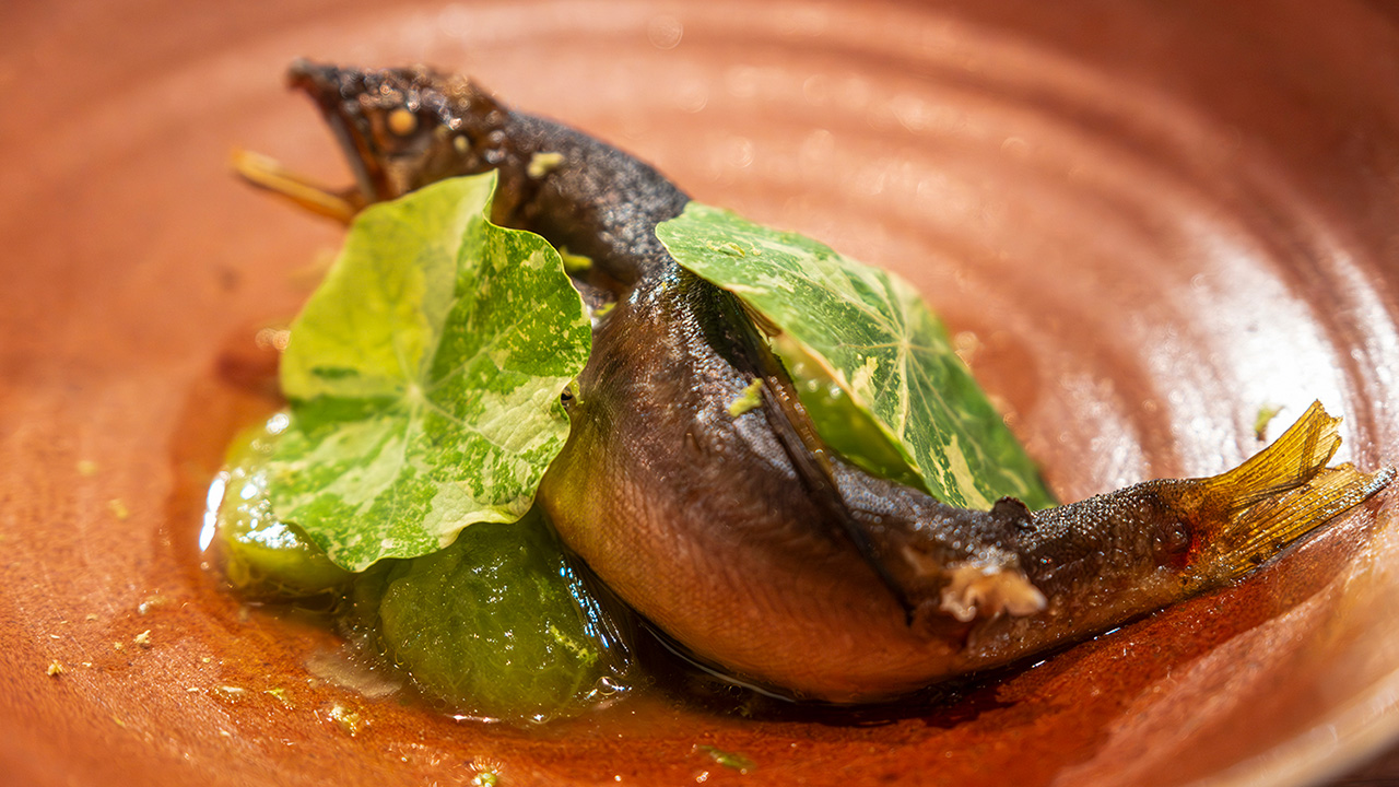 鮎、グリーントマトのケッカソース