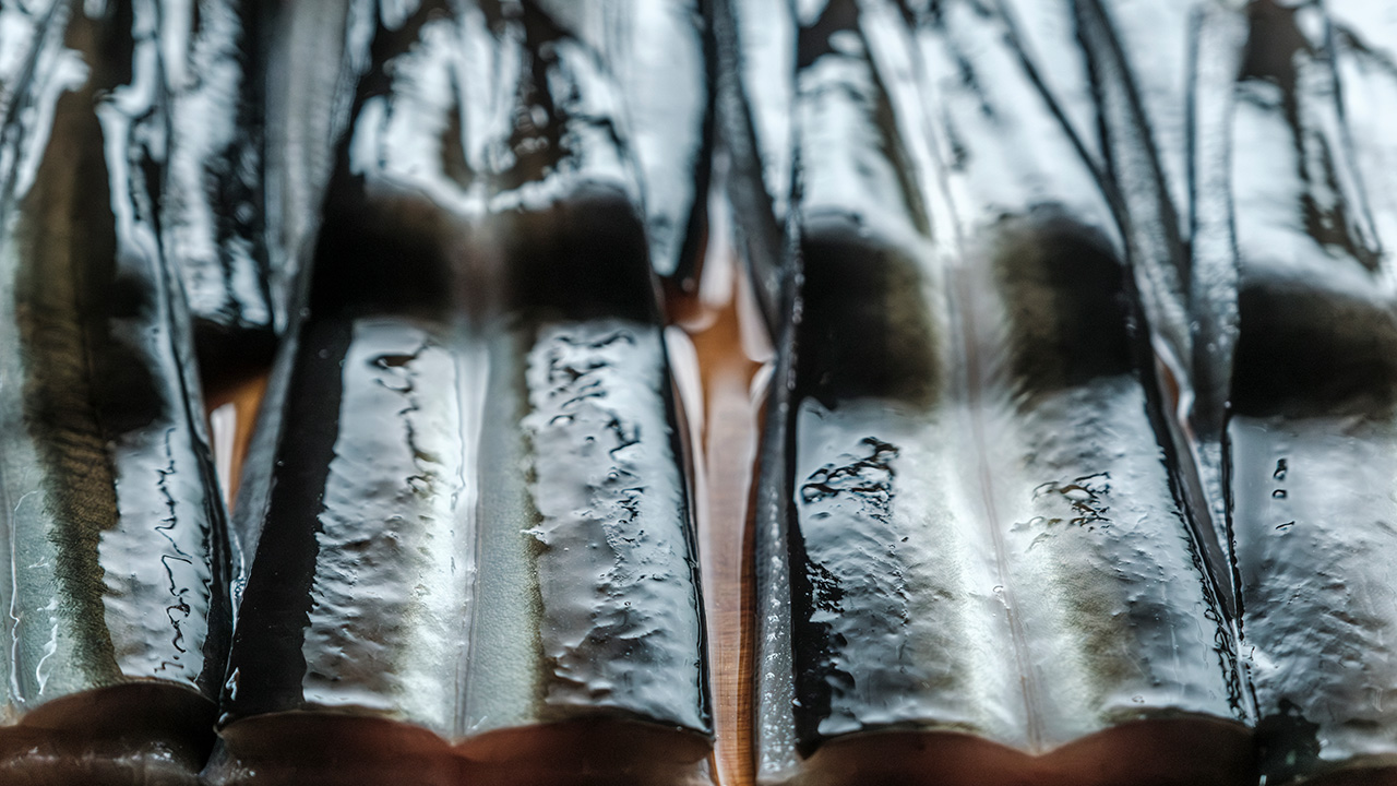 蒜山 鰻専門店 翏