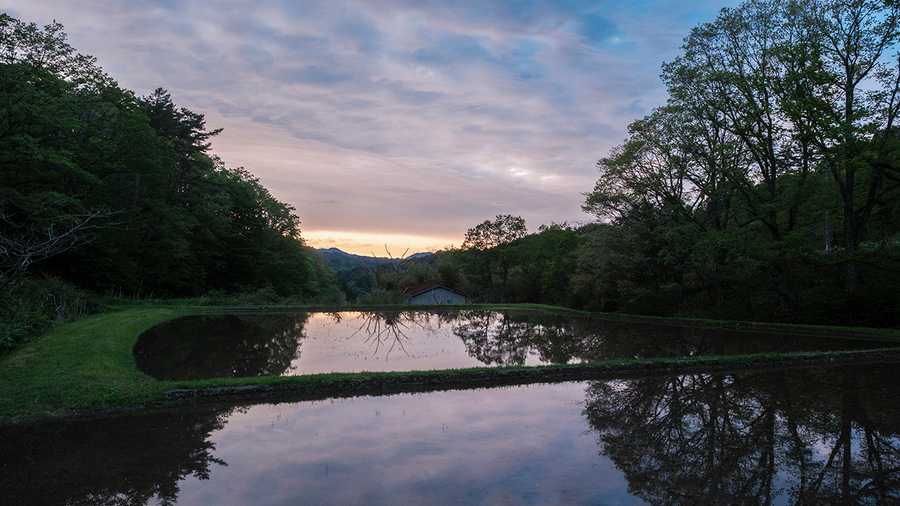 蒜山 鰻専門店 翏