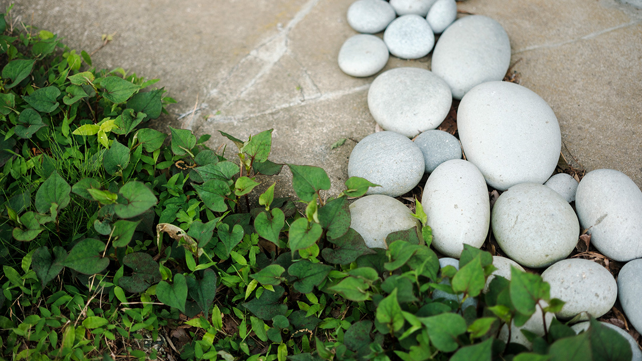 蒜山 鰻専門店 翏