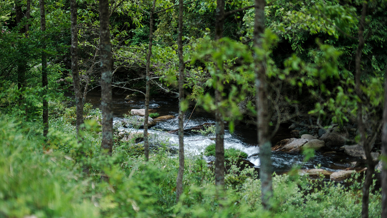 蒜山醸造所 つちとみず