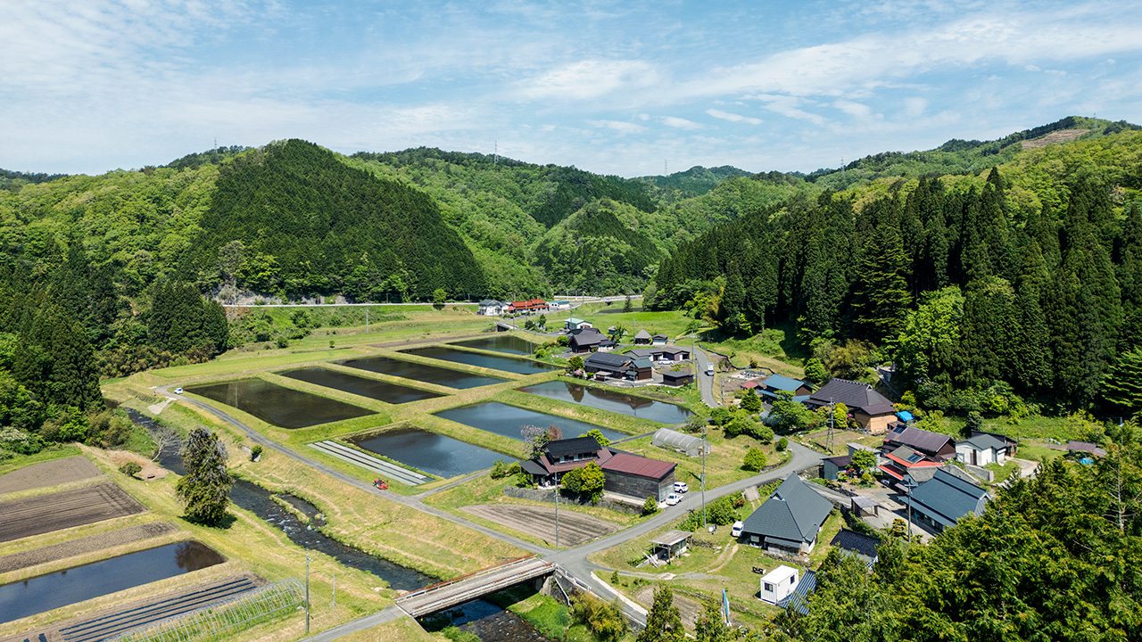 蒜山醸造所 つちとみず