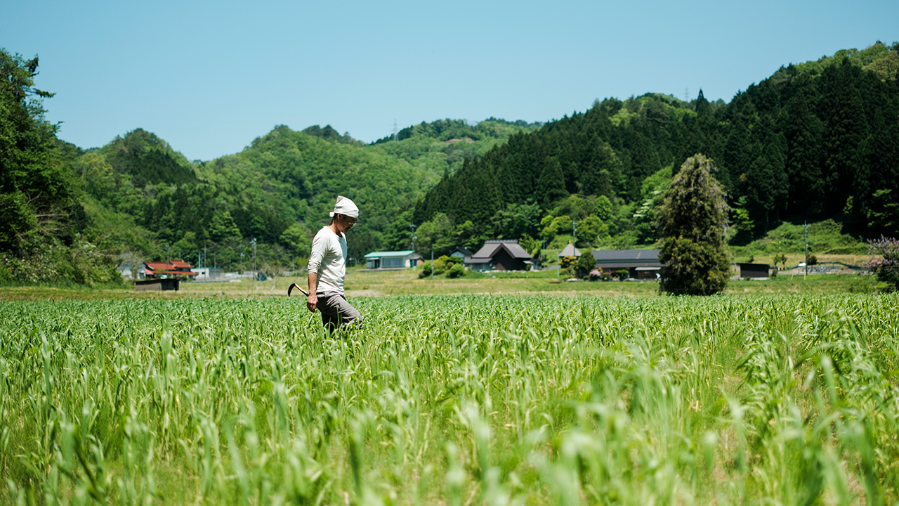 蒜山醸造所 つちとみず