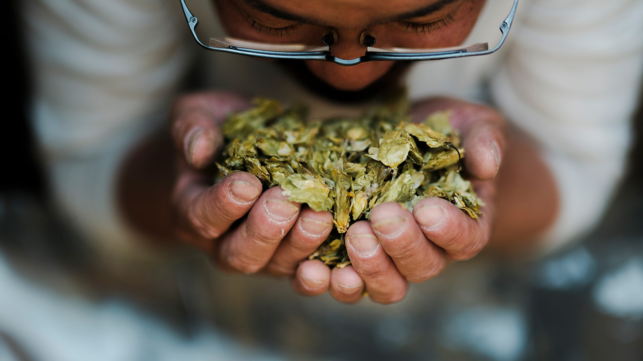 蒜山醸造所 つちとみず