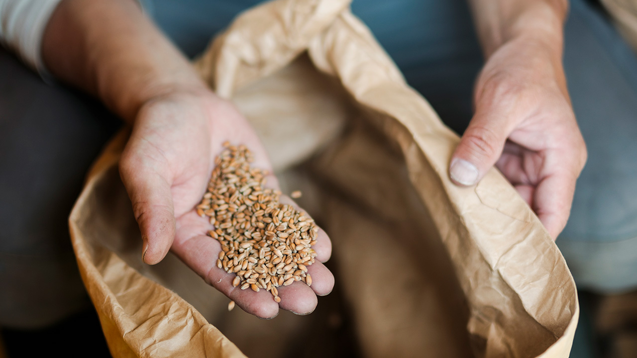 蒜山醸造所 つちとみず