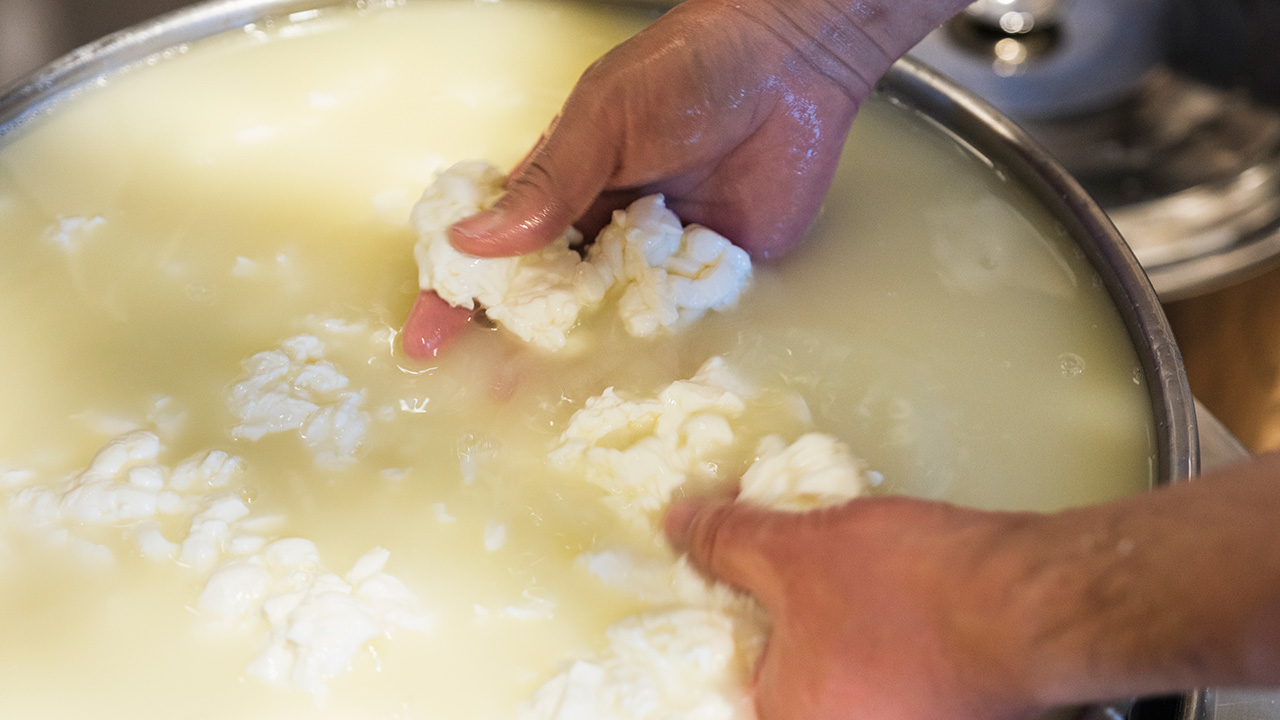 イルリコッターロ