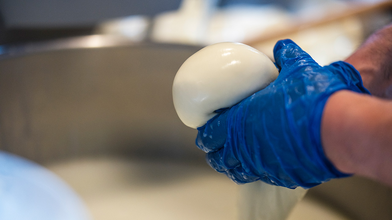 イルリコッターロ