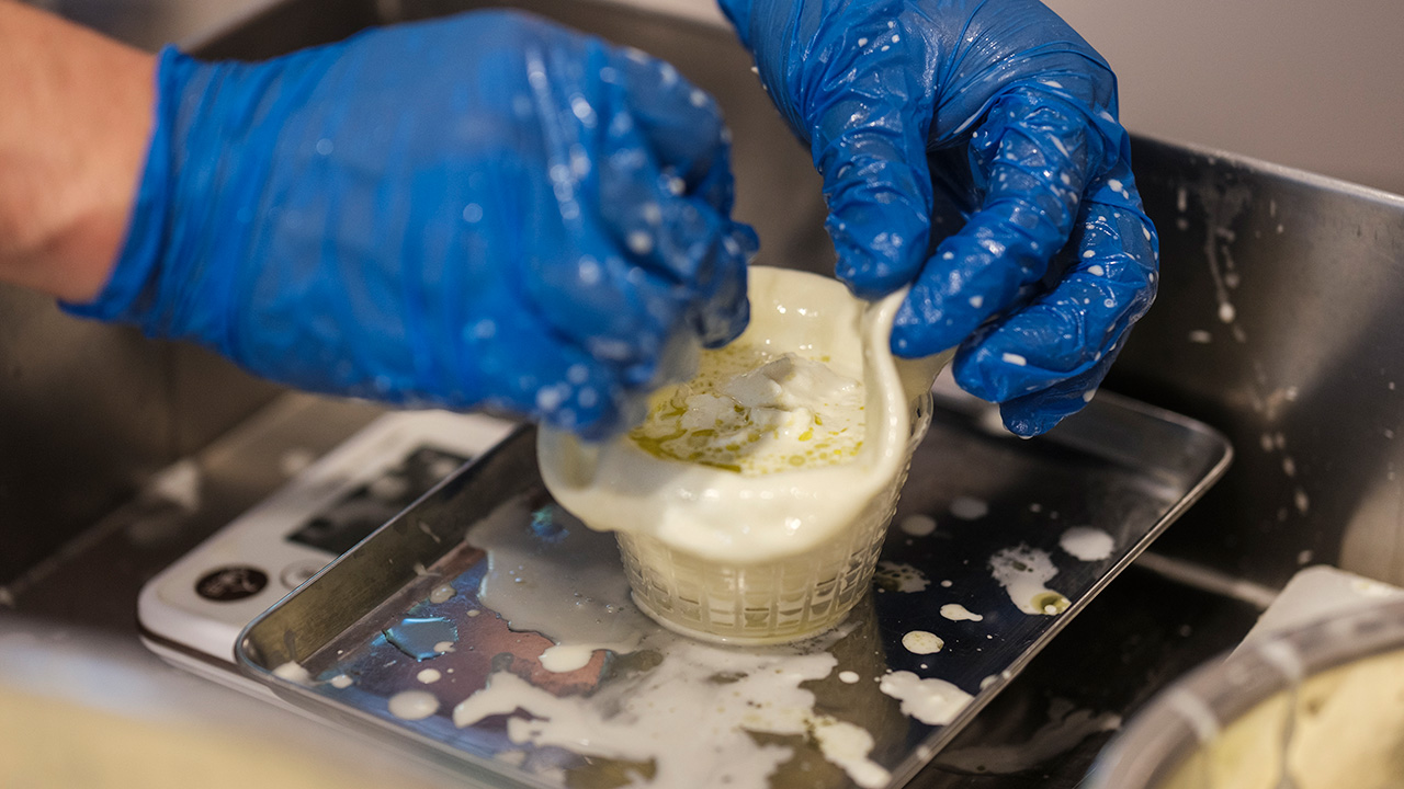 イルリコッターロ