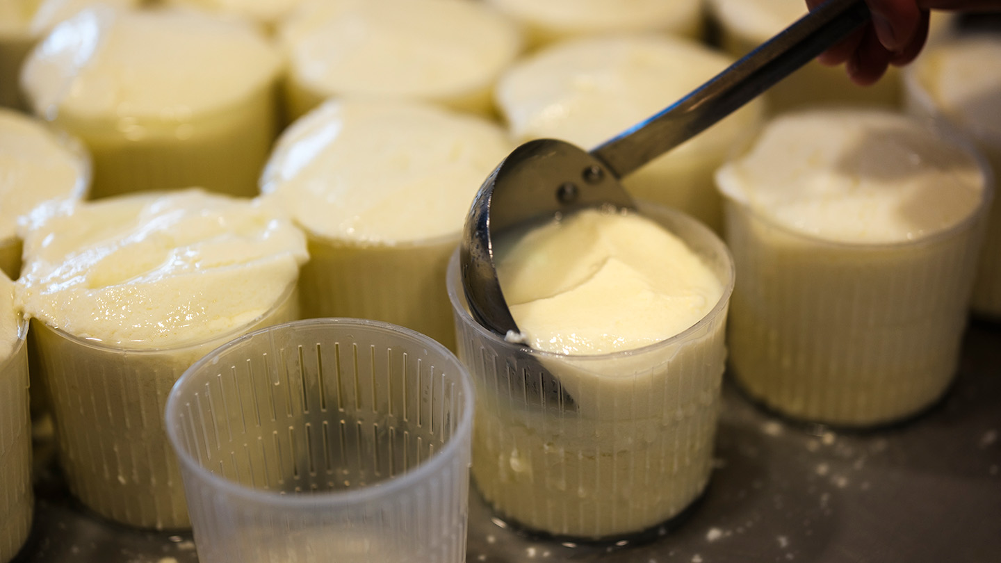 チーズ職人のパッショーネ（情熱）