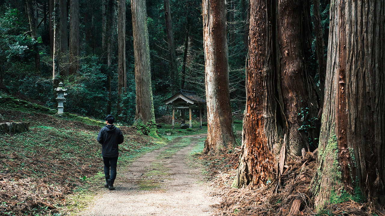上富良野