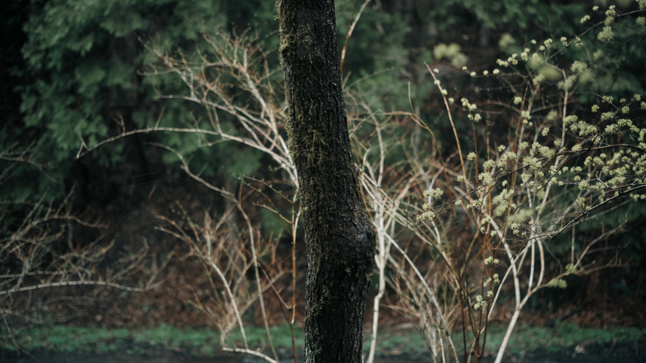 赤木明登うるし工房