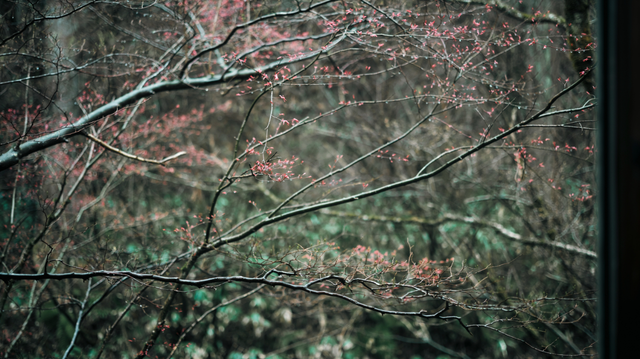 赤木明登うるし工房