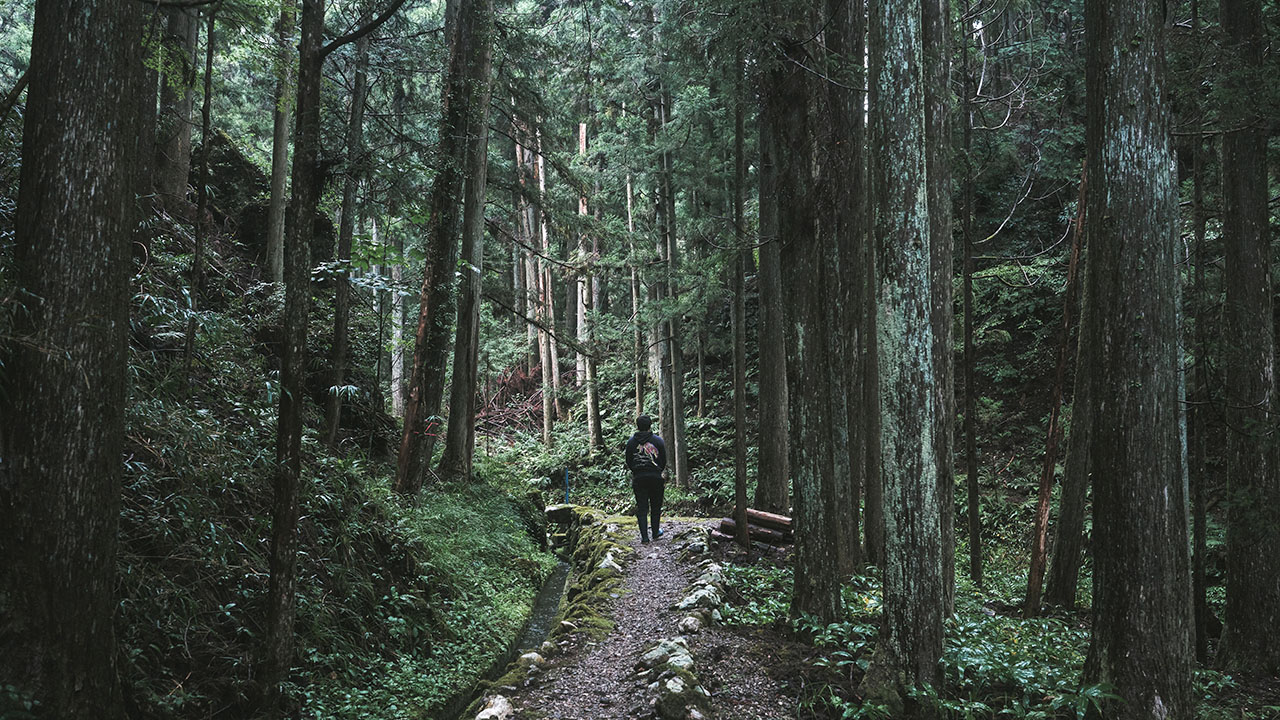 アルケミエ 辰巳蒸留所