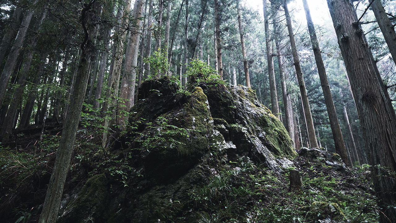 アルケミエ 辰巳蒸留所