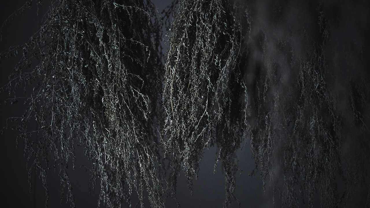 アルケミエ 辰巳蒸留所