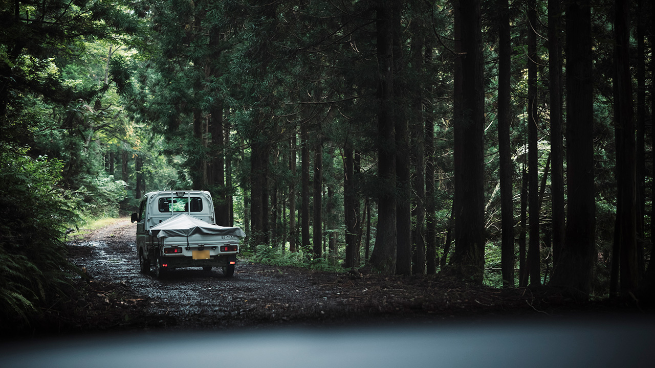 ⾃然界に⼊ることは、安全から遠ざかること