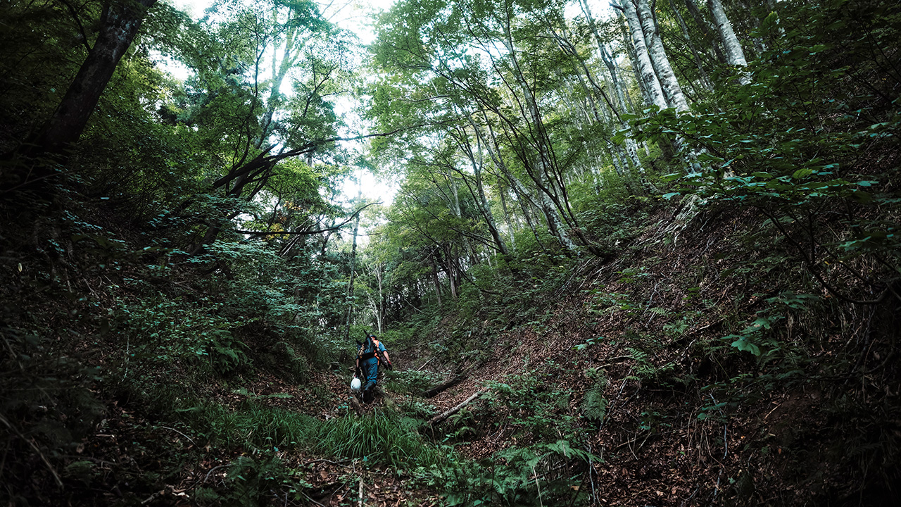 ⾃然界に⼊ることは、安全から遠ざかること