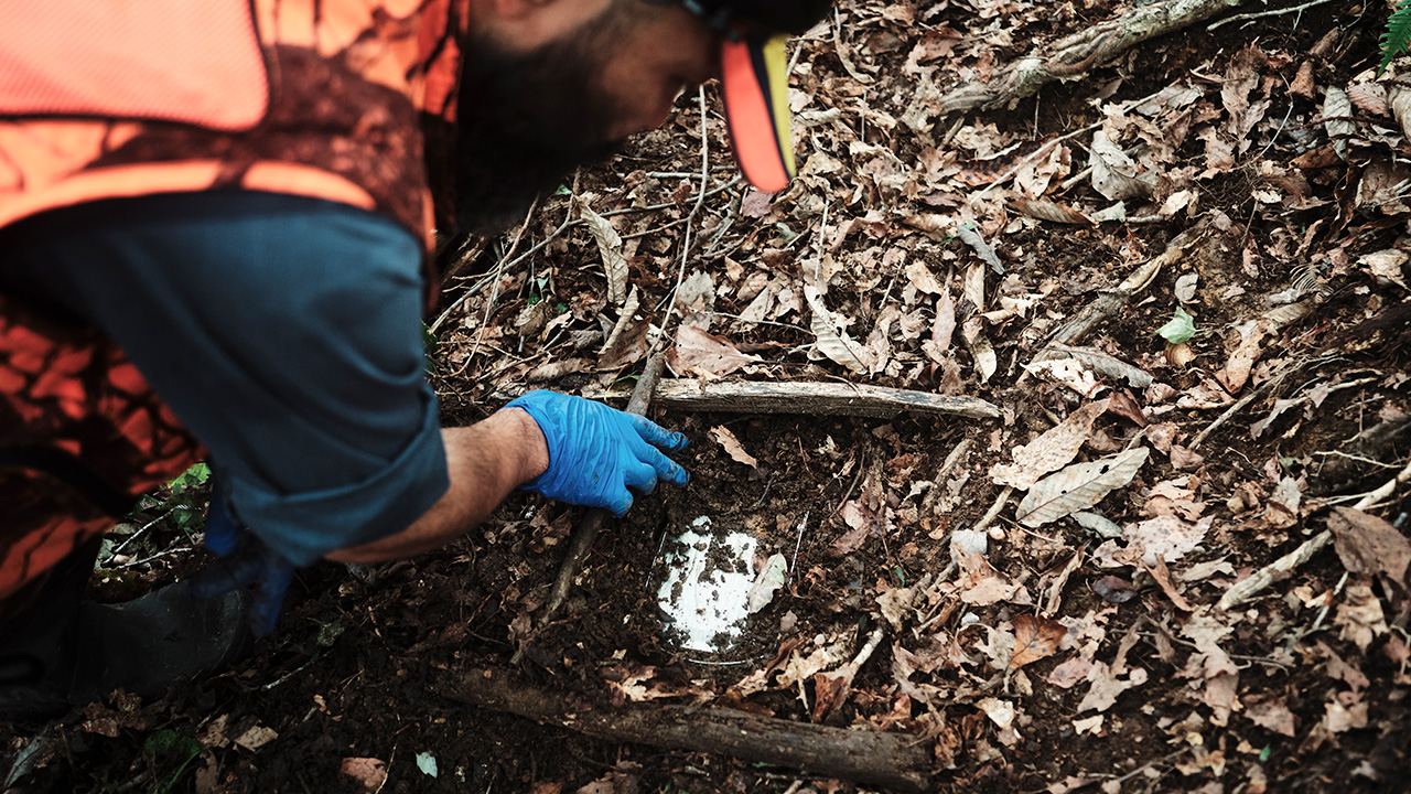 ⾃然界に⼊ることは、安全から遠ざかること