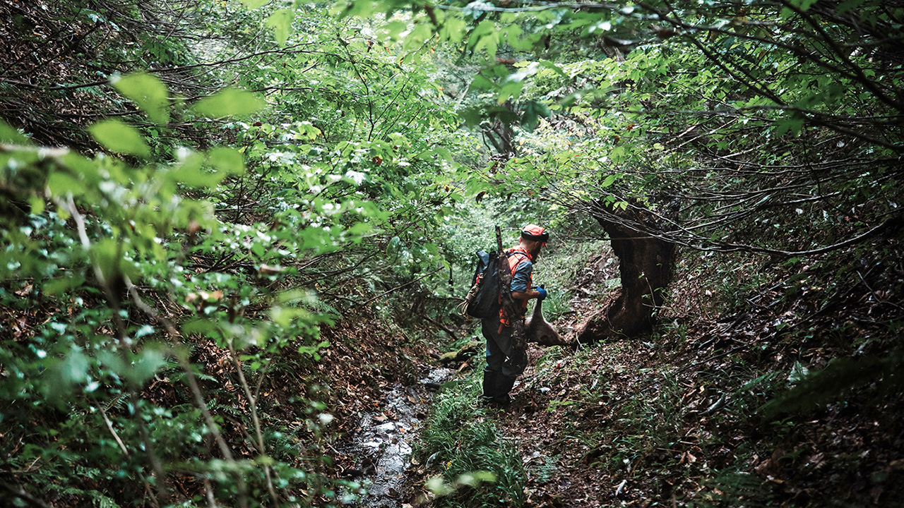 繊細な狩猟者が引き⾦を引く時