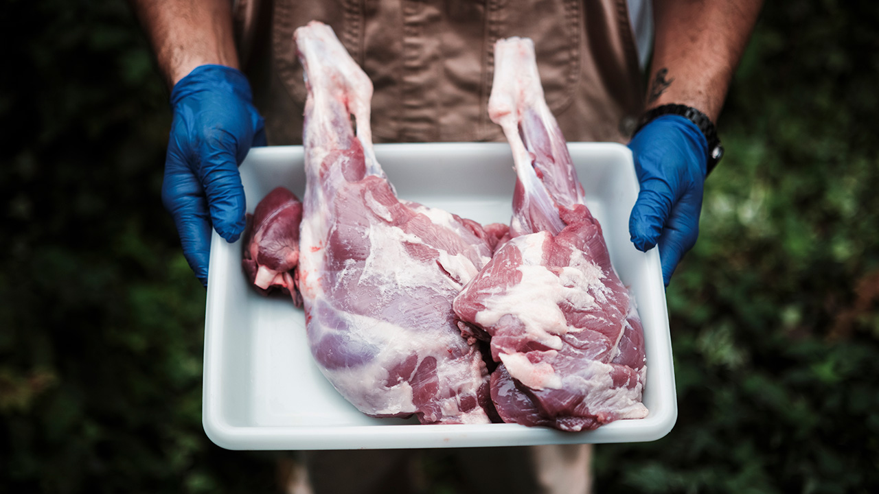 繊細な狩猟者が引き⾦を引く時