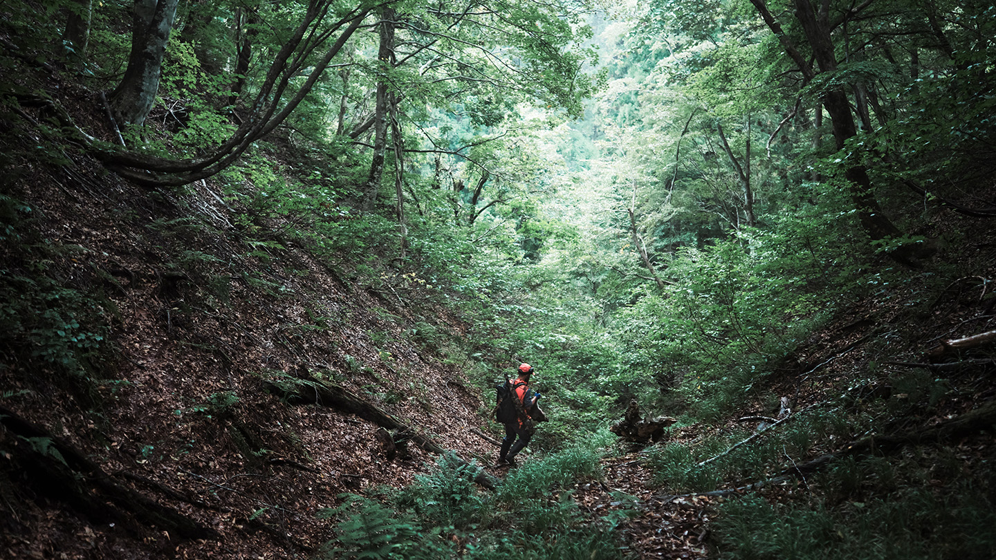 六ノ⾥のためにできることすべて