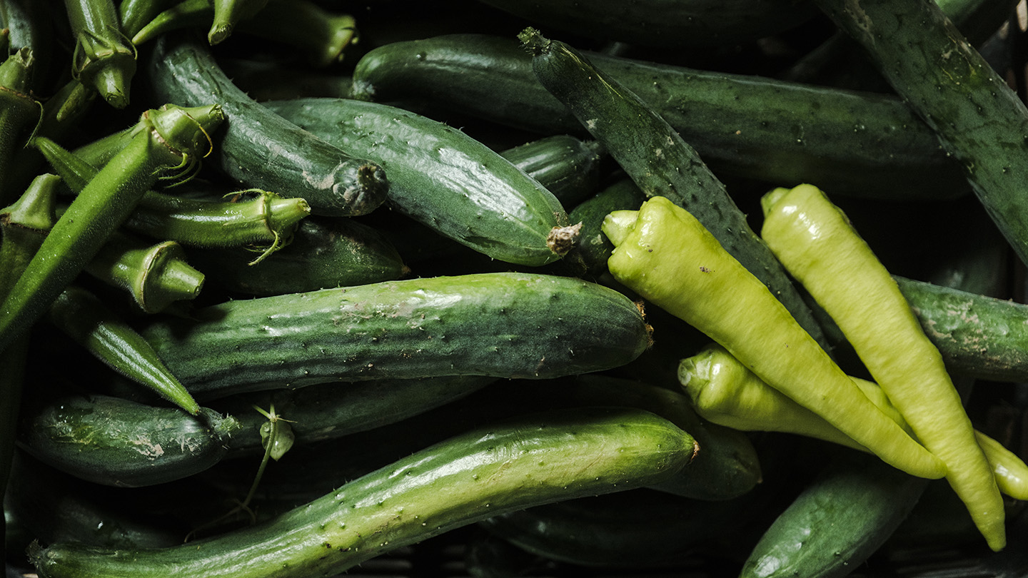 冷製オレキエッテ 夏野菜のタルタル