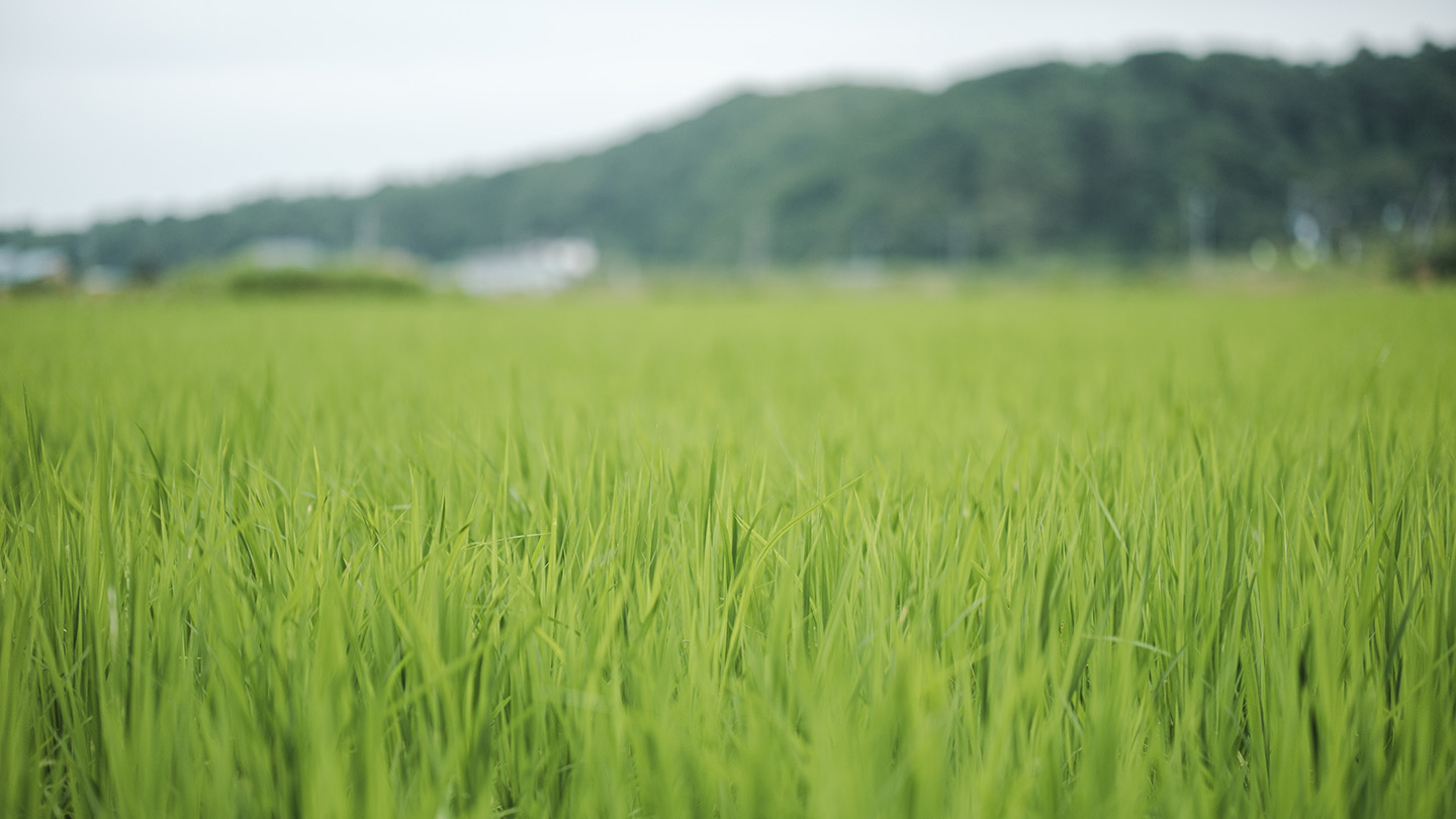 清和の丘農園