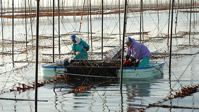 佐賀県有明海漁協