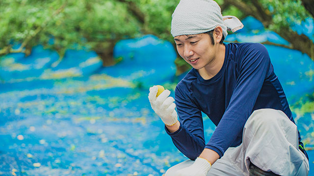梅ボーイズ