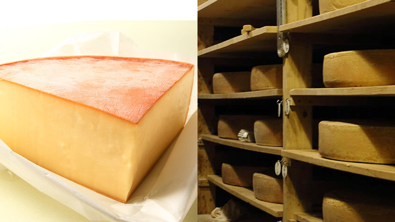 共働学舎新得農場