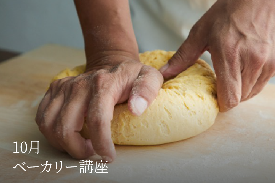 講座内容