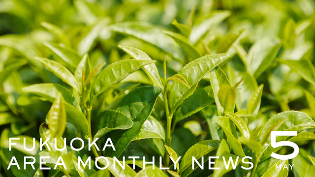 ［福岡店］AREA MONTHLY NEWS 5月号