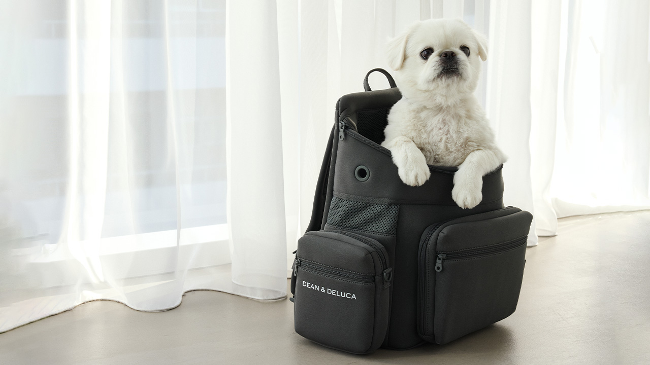 愛犬といつでも一緒に過ごせるバックパック