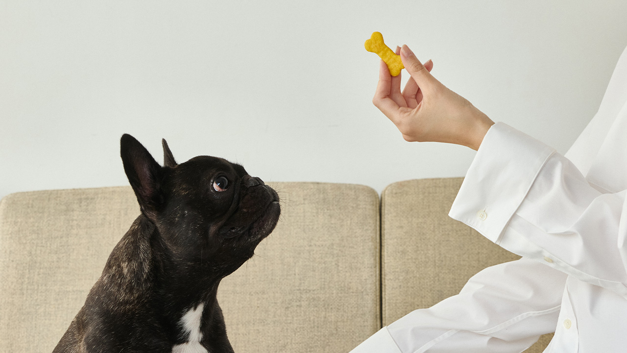 素材にこだわった、愛犬もうれしいドッグフード
