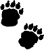 footprint