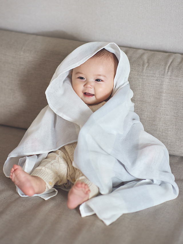 テーブルウェア