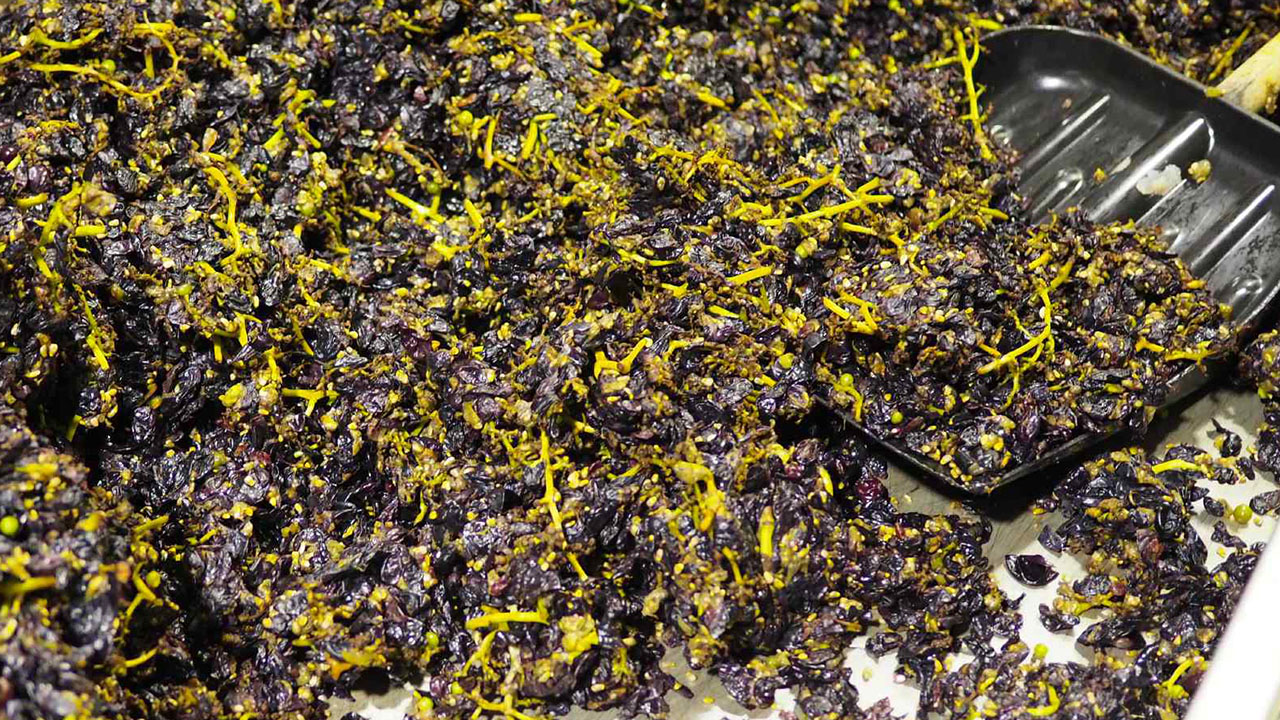 ワイン用葡萄の果皮