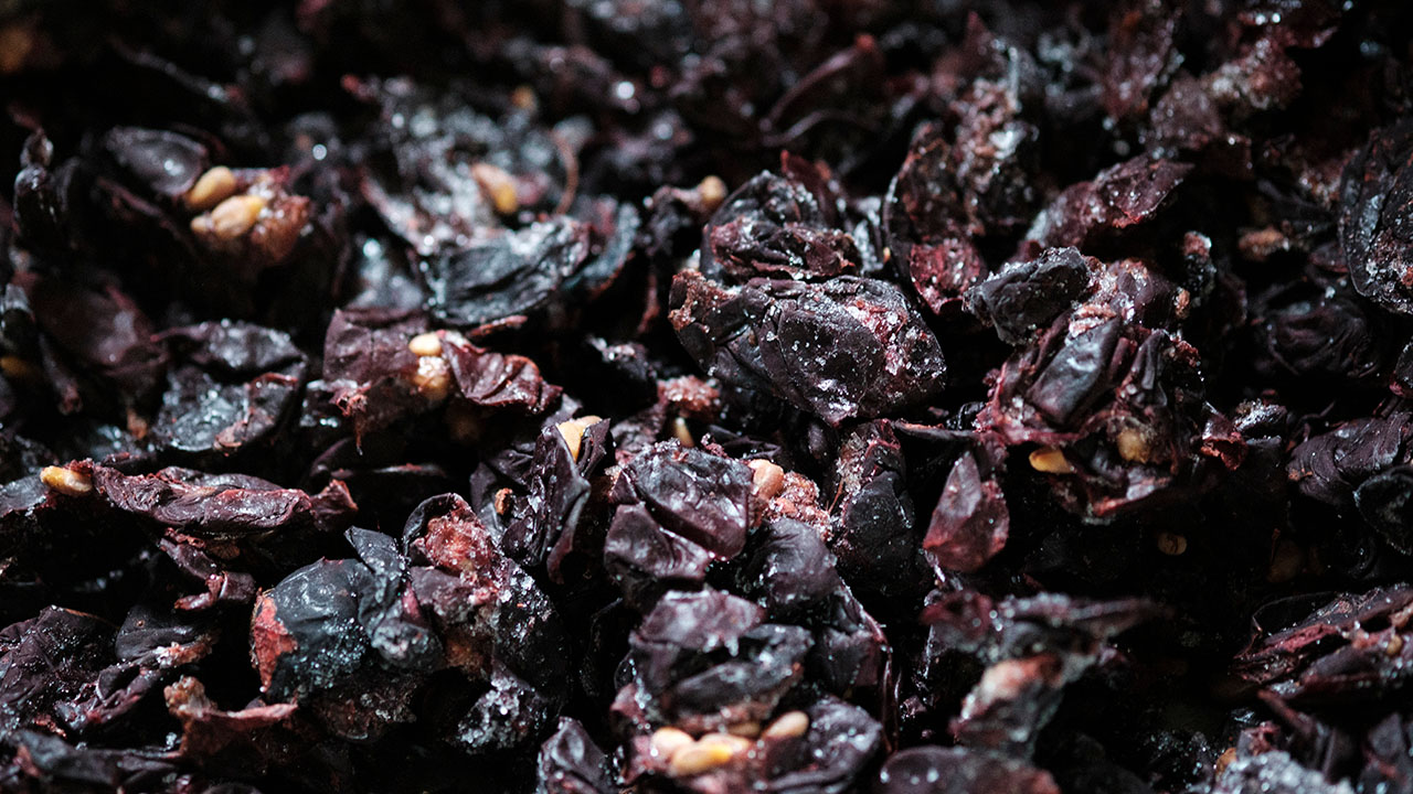 ワイン用葡萄の果皮