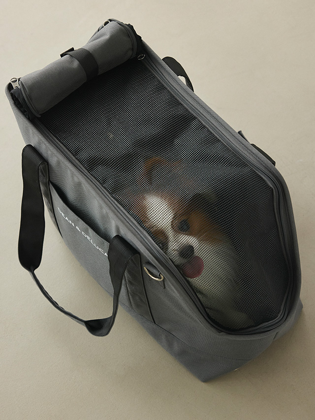 キャリーバッグ